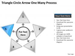 Triganle circle arrow one many process 38