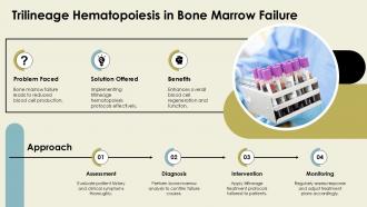 Trilineage Hematopoiesis In Bone Marrow Failure Hypercellular Marrow PPT Sample ACP