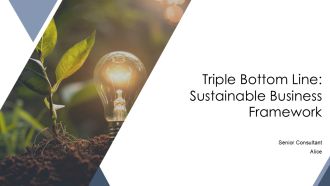 Triple Bottom Line Sustainable Business Framework PPT Summary AT