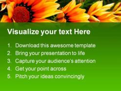 Triplet nature powerpoint templates and powerpoint backgrounds 0211