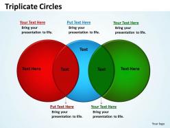 Triplicate circles diagram 14