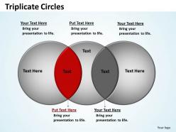 Triplicate circles diagram 14