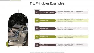 TRIZ Principles Examples In Powerpoint And Google Slides Cpb