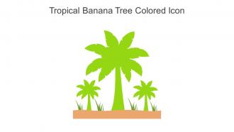 Tropical Banana Tree Colored Icon In Powerpoint Pptx Png And Editable Eps Format