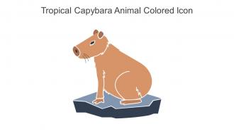Tropical Capybara Animal Colored Icon In Powerpoint Pptx Png And Editable Eps Format