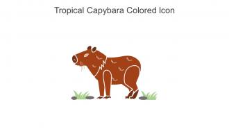 Tropical Capybara Colored Icon In Powerpoint Pptx Png And Editable Eps Format