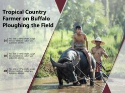 Tropical country farmer on buffalo ploughing the field