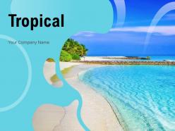 Tropical Destination Location Magnificent Tributary Tourists