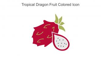 Tropical Dragon Fruit Colored Icon In Powerpoint Pptx Png And Editable Eps Format