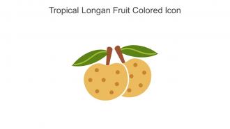 Tropical Longan Fruit Colored Icon In Powerpoint Pptx Png And Editable Eps Format