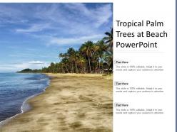 Tropical palm trees at beach powerpoint