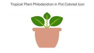 Tropical Plant Philodendron In Pot Colored Icon In Powerpoint Pptx Png And Editable Eps Format