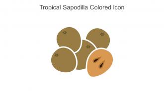 Tropical Sapodilla Colored Icon In Powerpoint Pptx Png And Editable Eps Format