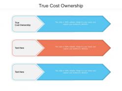 True cost ownership ppt powerpoint presentation professional images cpb