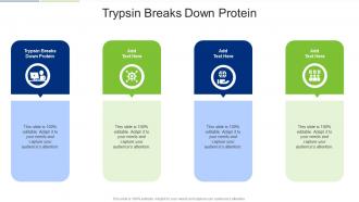 Trypsin Breaks Down Protein In Powerpoint And Google Slides Cpb