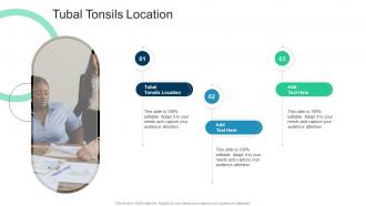 Tubal Tonsils Location In Powerpoint And Google Slides Cpb