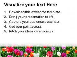 Tulip field beauty powerpoint templates and powerpoint backgrounds 0211