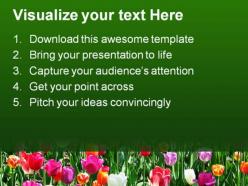 Tulip field beauty powerpoint templates and powerpoint backgrounds 0211