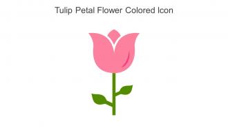 Tulip Petal Flower Colored Icon In Powerpoint Pptx Png And Editable Eps Format