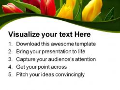 Tulips bouquet beauty powerpoint templates and powerpoint backgrounds 0311