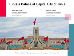Tunisia palace at capital city of tunis