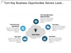 turn_key_business_opportunities_service_level_agreement_conflict_management_cpb_Slide01