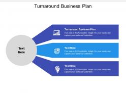 Turnaround business plan ppt powerpoint presentation infographic template cpb