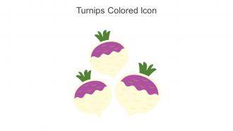 Turnips Colored Icon In Powerpoint Pptx Png And Editable Eps Format
