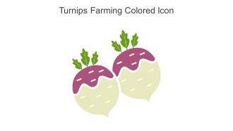 Turnips Farming Colored Icon In Powerpoint Pptx Png And Editable Eps Format