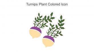 Turnips Plant Colored Icon In Powerpoint Pptx Png And Editable Eps Format