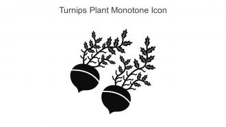 Turnips Plant Monotone Icon In Powerpoint Pptx Png And Editable Eps Format