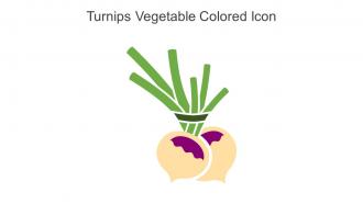Turnips Vegetable Colored Icon In Powerpoint Pptx Png And Editable Eps Format