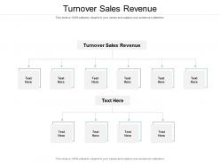 Turnover sales revenue ppt powerpoint presentation model backgrounds cpb