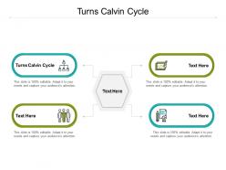 Turns calvin cycle ppt powerpoint presentation ideas good cpb