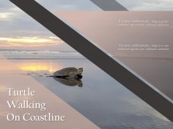 Turtle walking on coastline