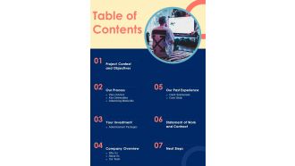 TV Promotional Campaign Table Of Contents One Pager Sample Example Document