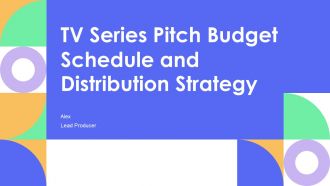 TV Series Pitch Budget Schedule And Distribution Strategy PPT Summary AT