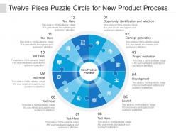 Twelve piece puzzle circle for new product process
