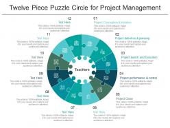 Twelve Piece Puzzle Circle For Project Management