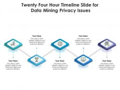 Twenty Four Hour Timeline Slide For Data Mining Privacy Issues Infographic Template