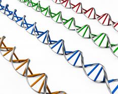 Twisted dna structure with multiple colors stock photo