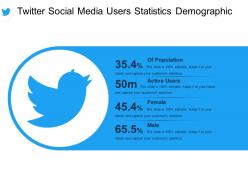 Twitter social media users statistics demographic