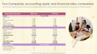 Two Companies Accounting Assets And Financial Ratios Comparison