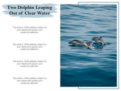 Two dolphin leaping out of clear water