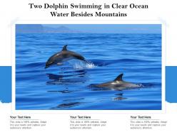 Two dolphin swimming in clear ocean water besides mountains
