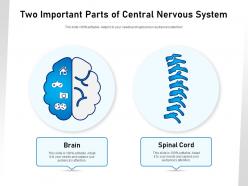 Two important parts of central nervous system
