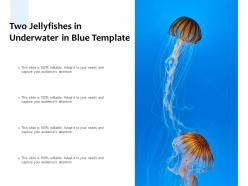 Two Jellyfishes In Underwater In Blue Template