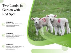 Two lambs in garden with red spot