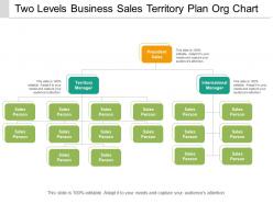 Two levels business sales territory plan org chart