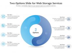 Two options slide for web storage services infographic template